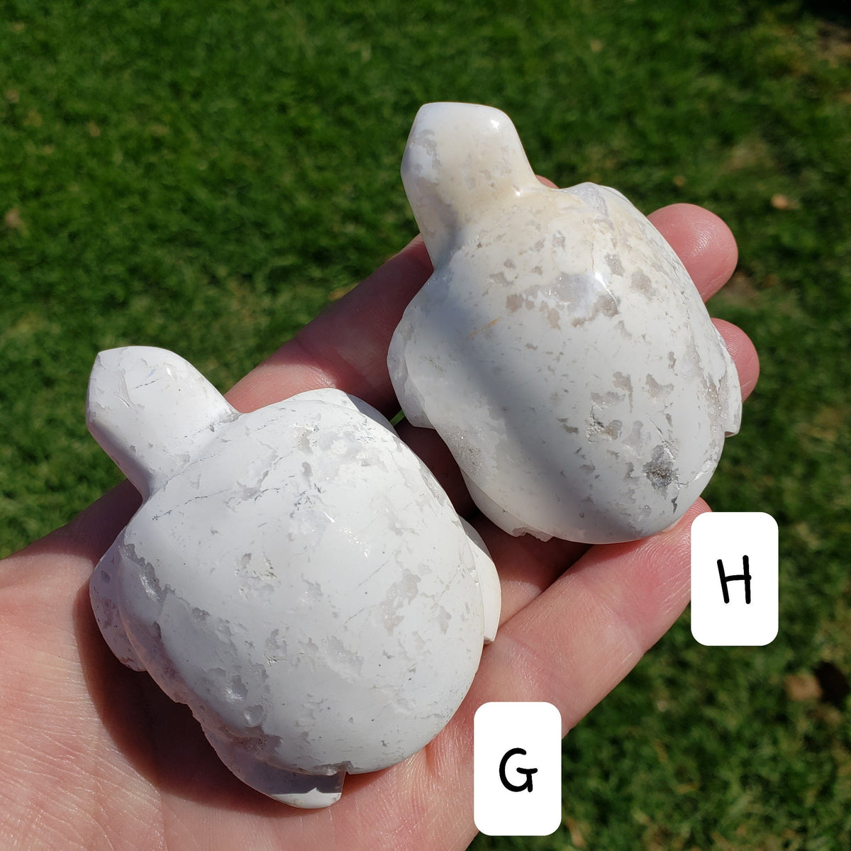 Snow Agate Turtle - Balances Females Ying Yang Energy - White Plume Druzy Turtle Healing Crystals Gemstones