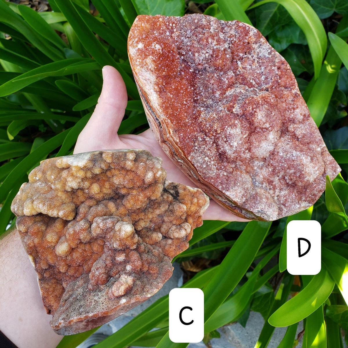 Big Pink Lace Agate Geode - Balance Physical, Mental, Emotional - Pink Agate Crystal Druzy Freeform Healing Gemstones