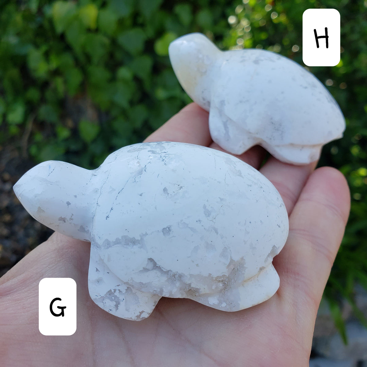 Snow Agate Turtle - Balances Females Ying Yang Energy - White Plume Druzy Turtle Healing Crystals Gemstones