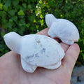 Snow Agate Turtle - Balances Females Ying Yang Energy - White Plume Druzy Turtle Healing Crystals Gemstones