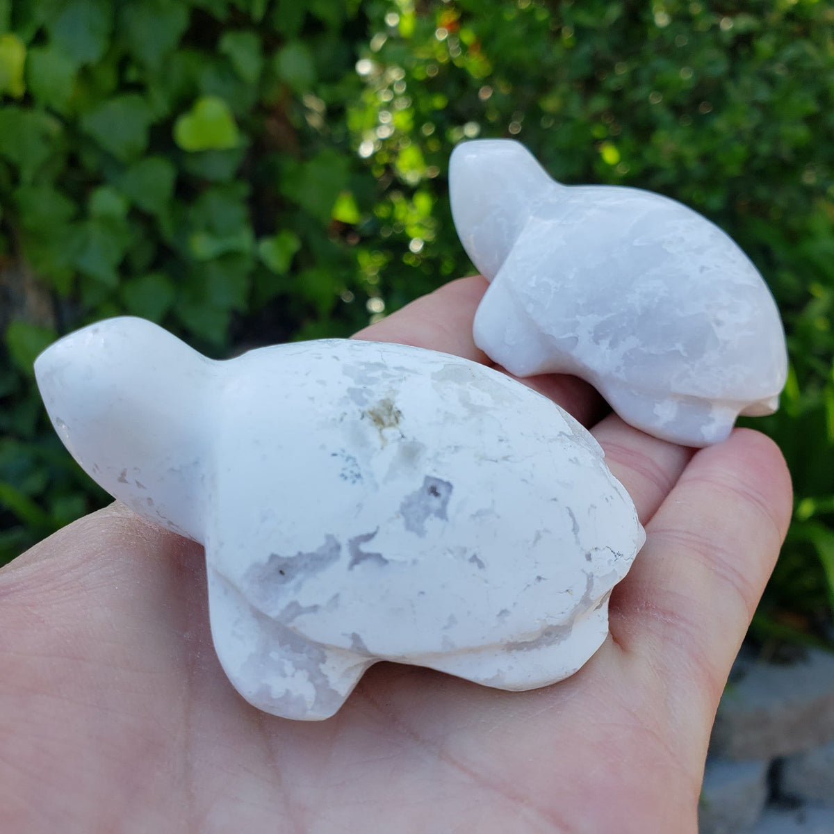 Snow Agate Turtle - Balances Females Ying Yang Energy - White Plume Druzy Turtle Healing Crystals Gemstones