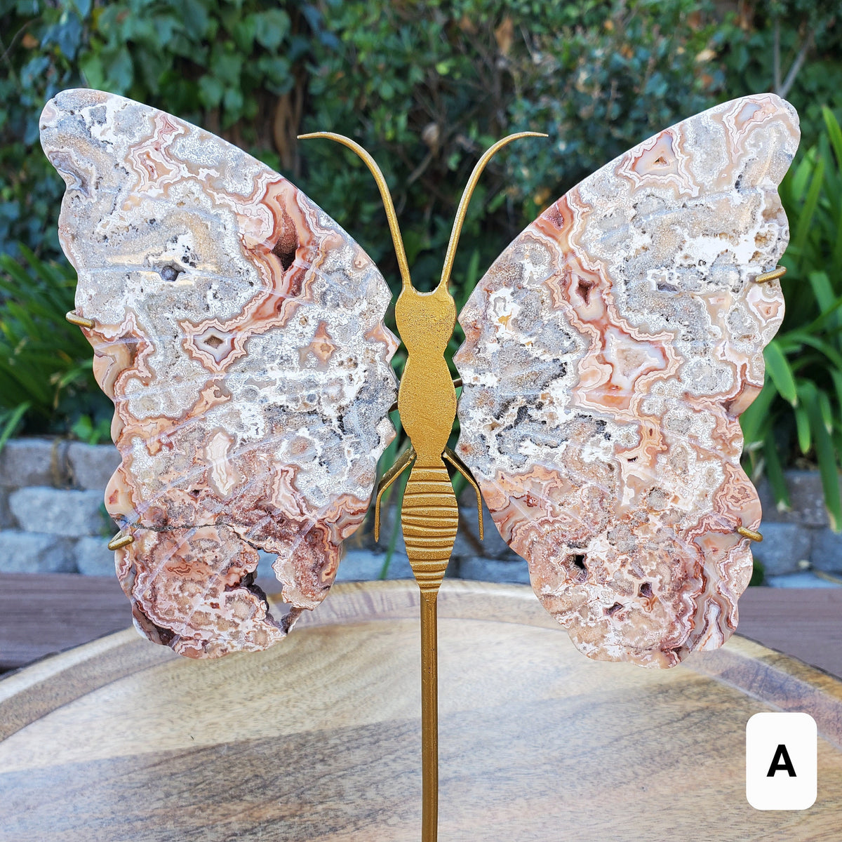 Pink Lace Agate Butterfly Wings on Stand - Balance of the Physical, Mental & Emotional - Pink Agate Crystal Butterfly Healing Gemstone
