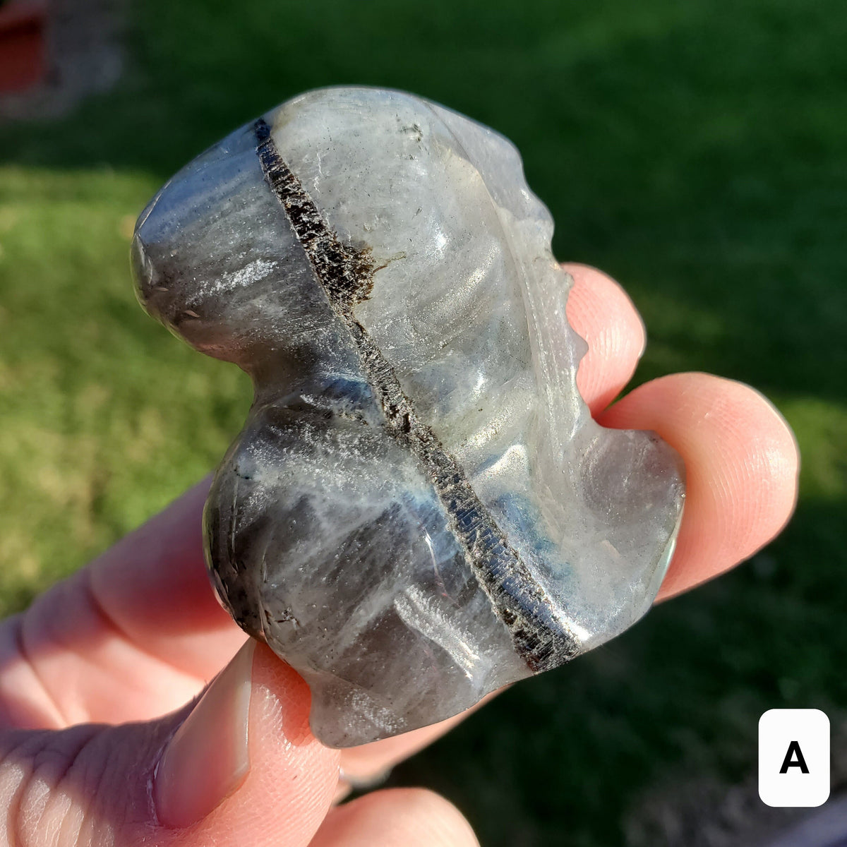 Labradorite Dinosaur - Awareness, Connection, Intuition - Crystal Dinosaur Carving Labradorite Healing Crystal Gemstone