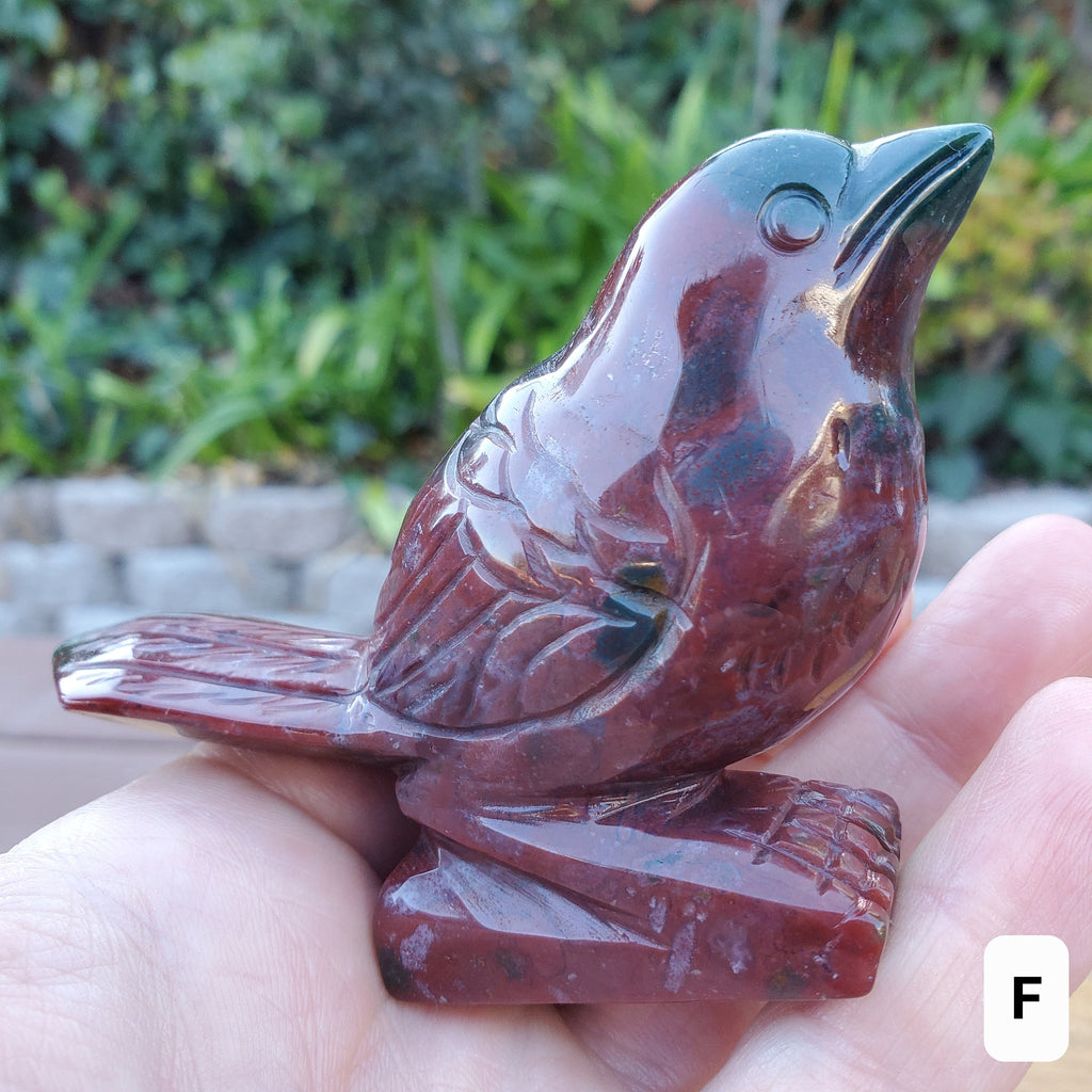 Ocean Jasper Bird - Strength & Renewal - 2.5" Jasper Carved Bird Crystal Stone Healing Crystals Gemstones