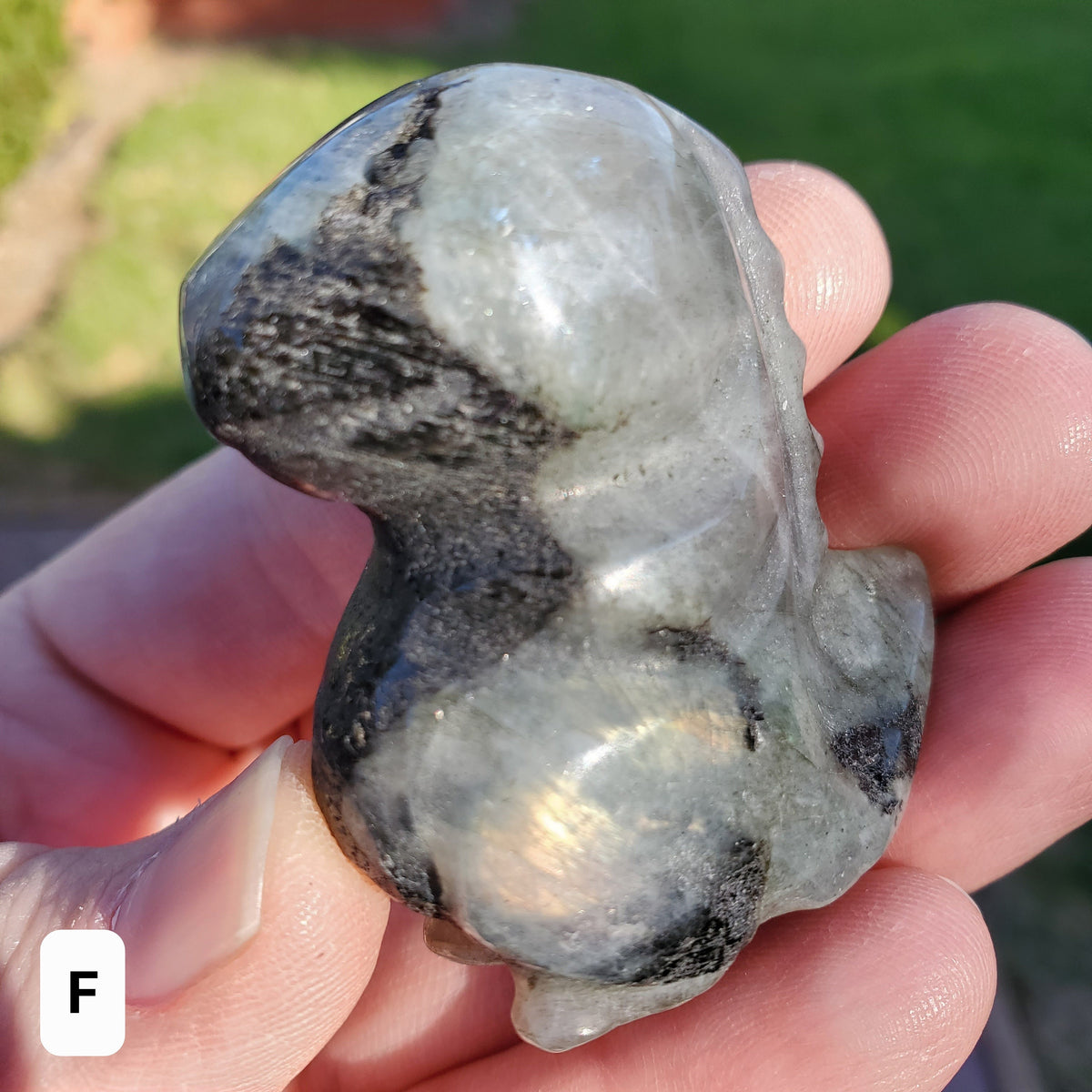 Labradorite Dinosaur - Awareness, Connection, Intuition - Crystal Dinosaur Carving Labradorite Healing Crystal Gemstone