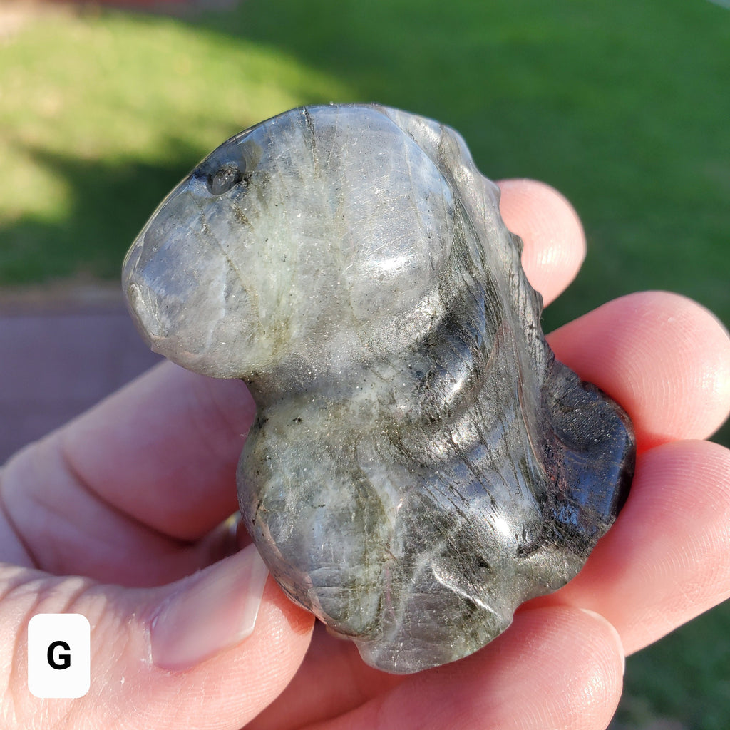 Labradorite Dinosaur - Awareness, Connection, Intuition - Crystal Dinosaur Carving Labradorite Healing Crystal Gemstone