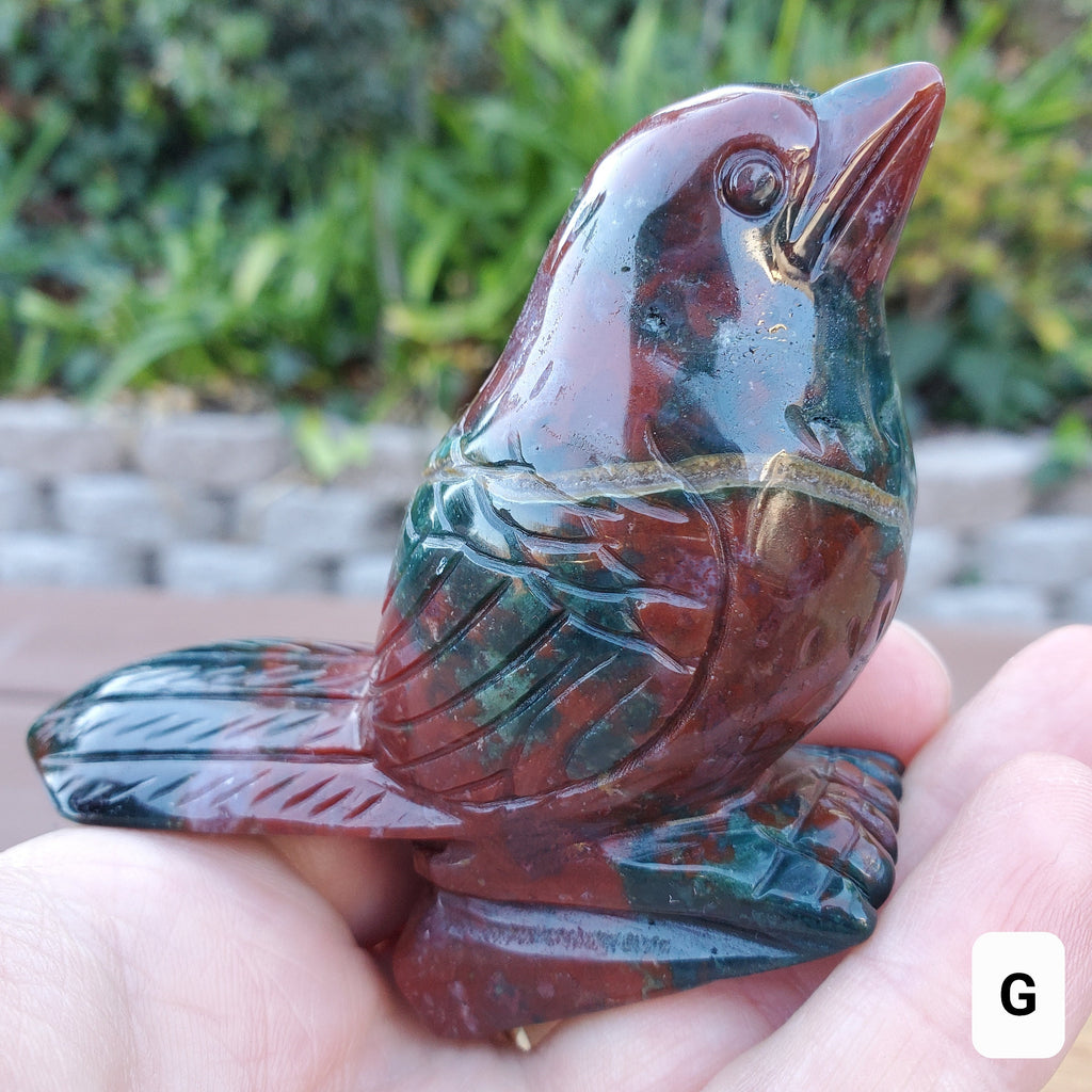 Ocean Jasper Bird - Strength & Renewal - 2.5" Jasper Carved Bird Crystal Stone Healing Crystals Gemstones