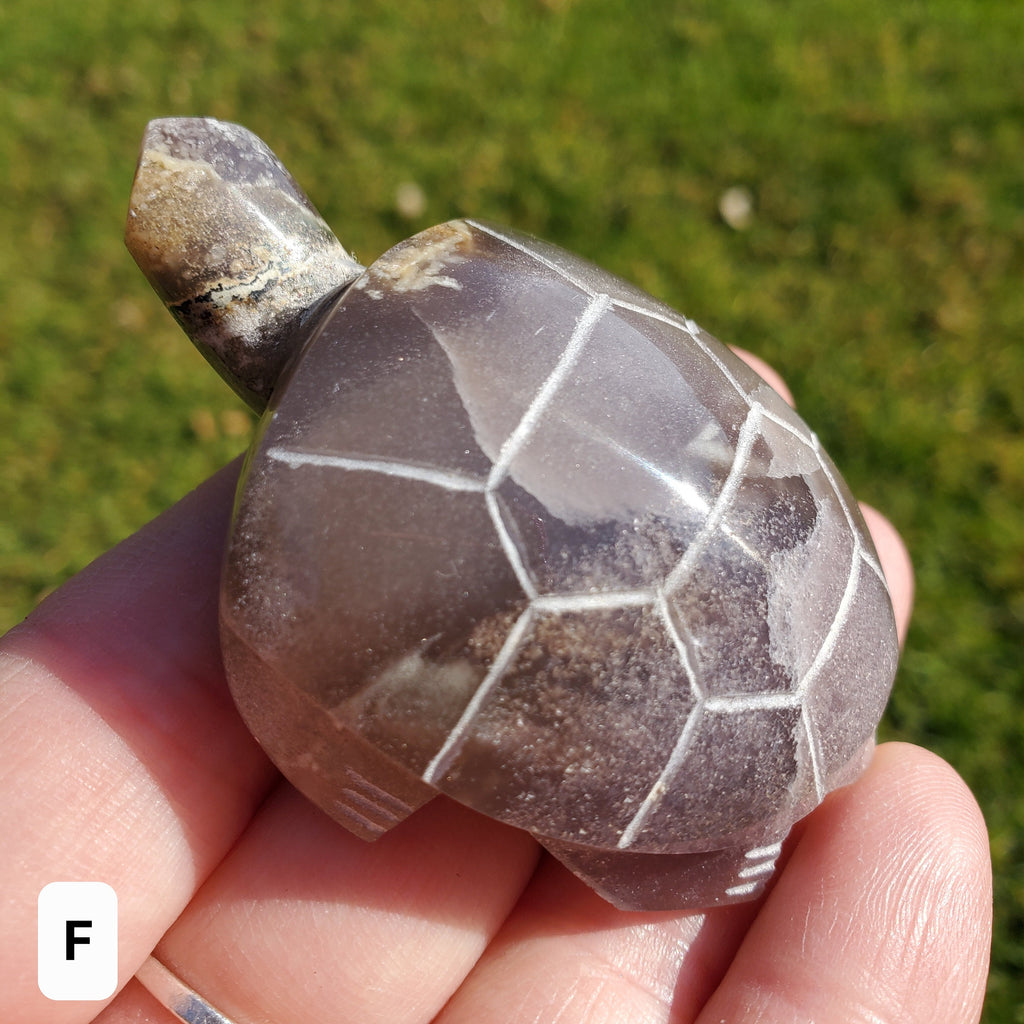 Grape Agate Turtle - Self Confidence. Psychic Protection, Dreams, Intuition - Purple and Green Turtle Carving Crystal Healing Gemstones