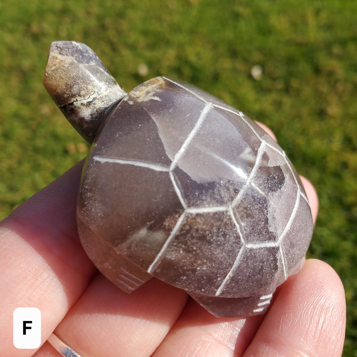 Grape Agate Turtle - Self Confidence. Psychic Protection, Dreams, Intuition - Purple and Green Turtle Carving Crystal Healing Gemstones