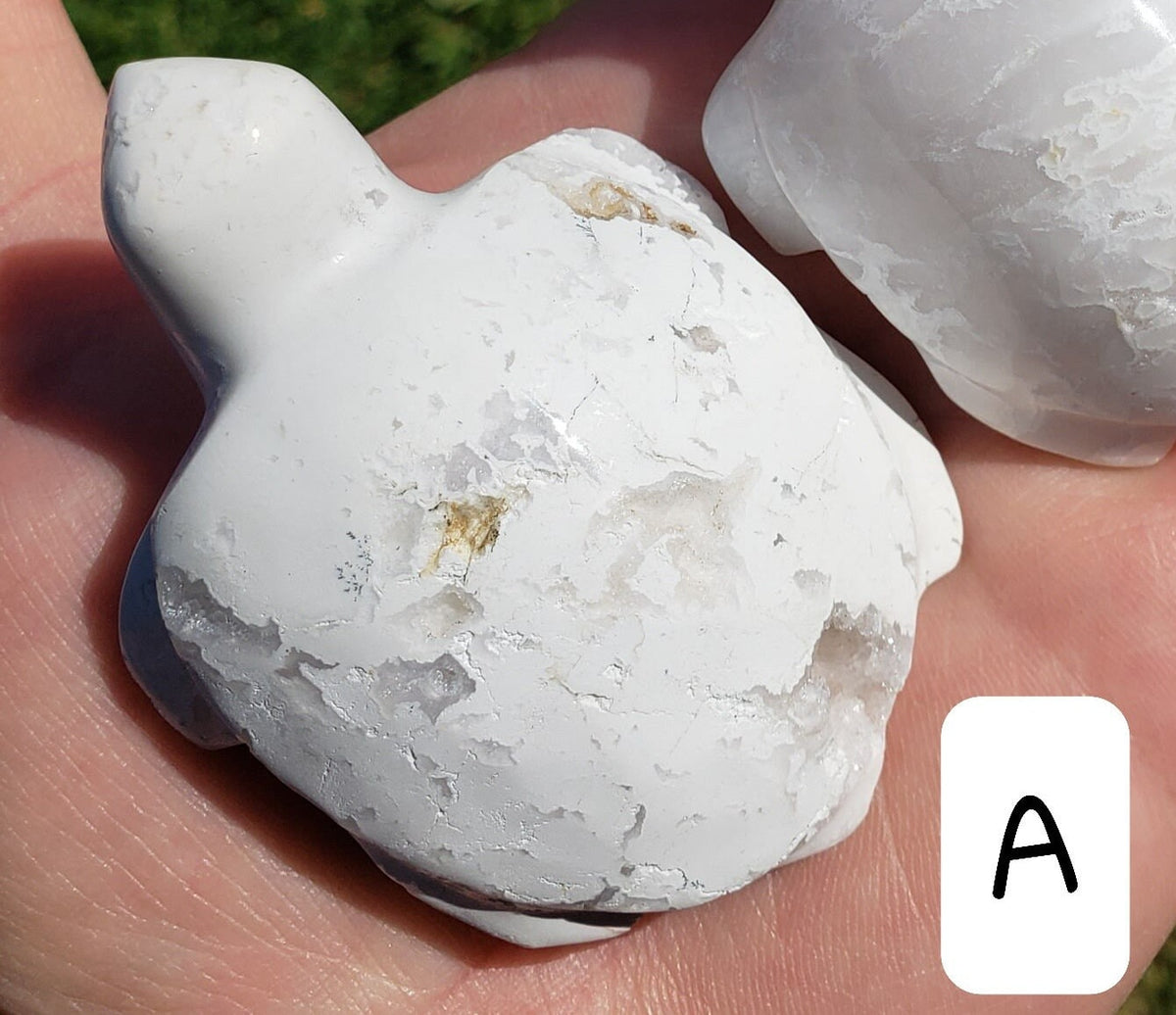 Snow Agate Turtle - Balances Females Ying Yang Energy - White Plume Druzy Turtle Healing Crystals Gemstones
