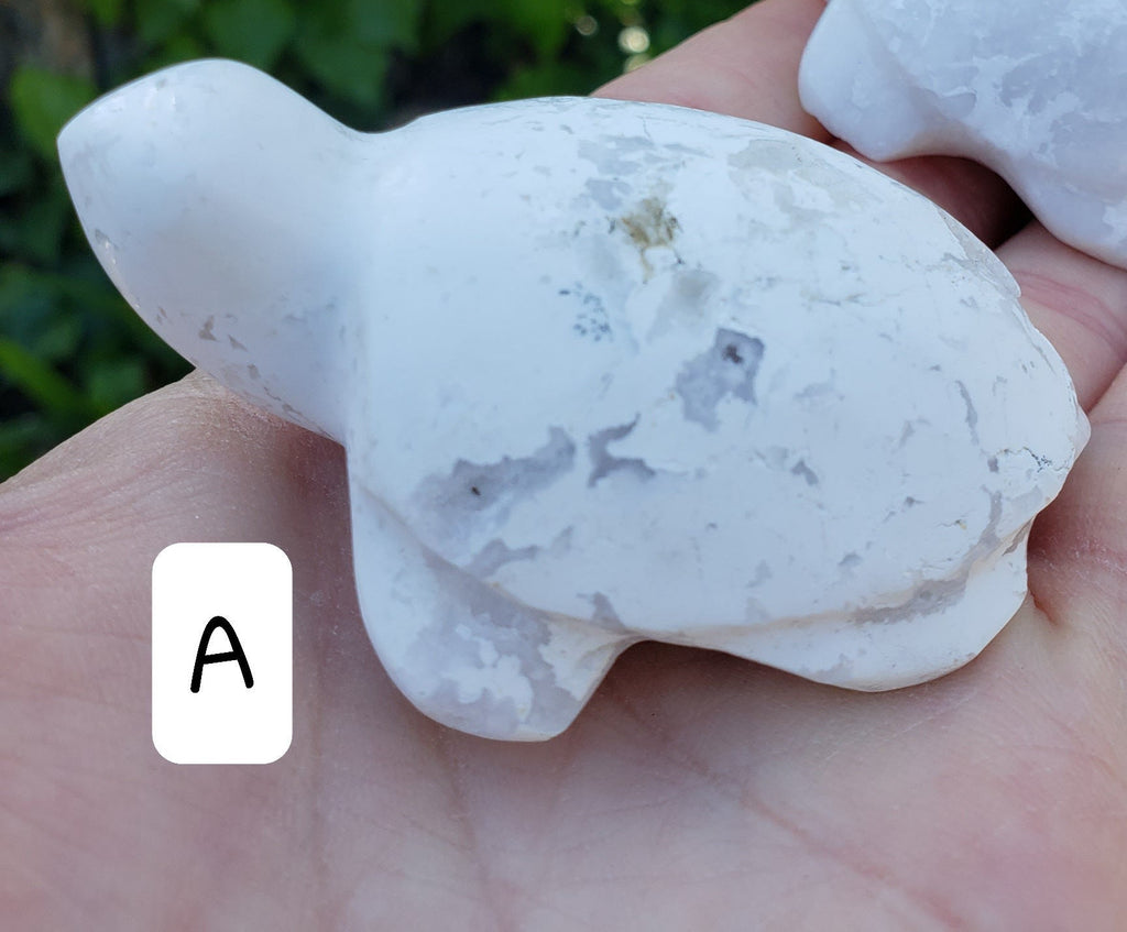 Snow Agate Turtle - Balances Females Ying Yang Energy - White Plume Druzy Turtle Healing Crystals Gemstones