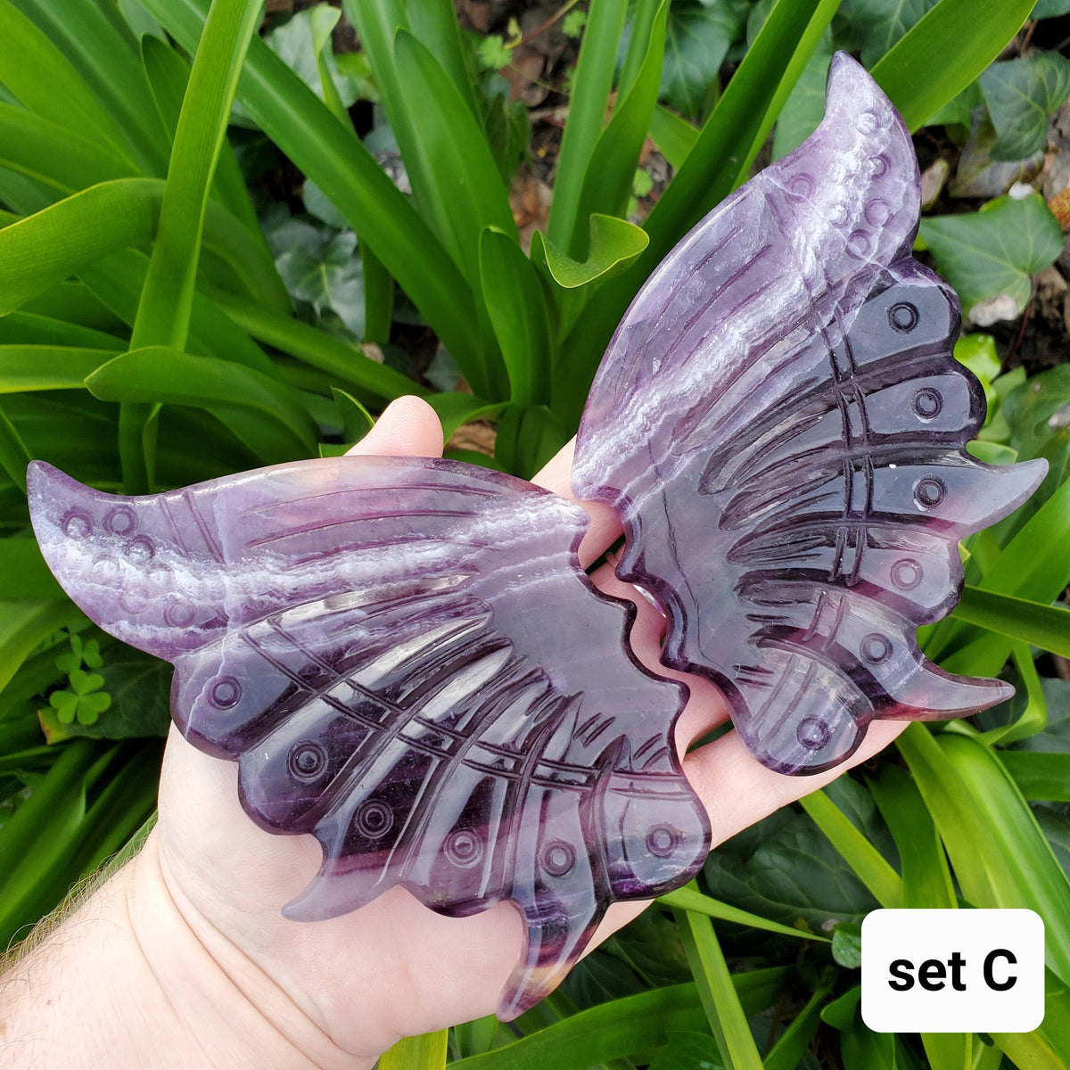 Rainbow Fluorite Butterfly Wings on Stand - Mental Clarity, Stability, Concentration, Energetic Protection - Fluorite Crystal Wings