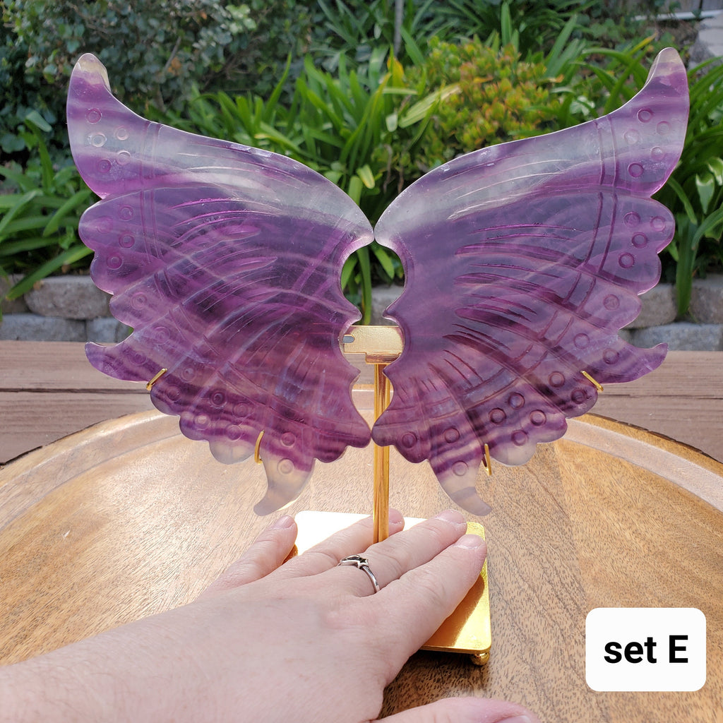 Rainbow Fluorite Butterfly Wings on Stand - Mental Clarity, Stability, Concentration, Energetic Protection - Fluorite Crystal Wings