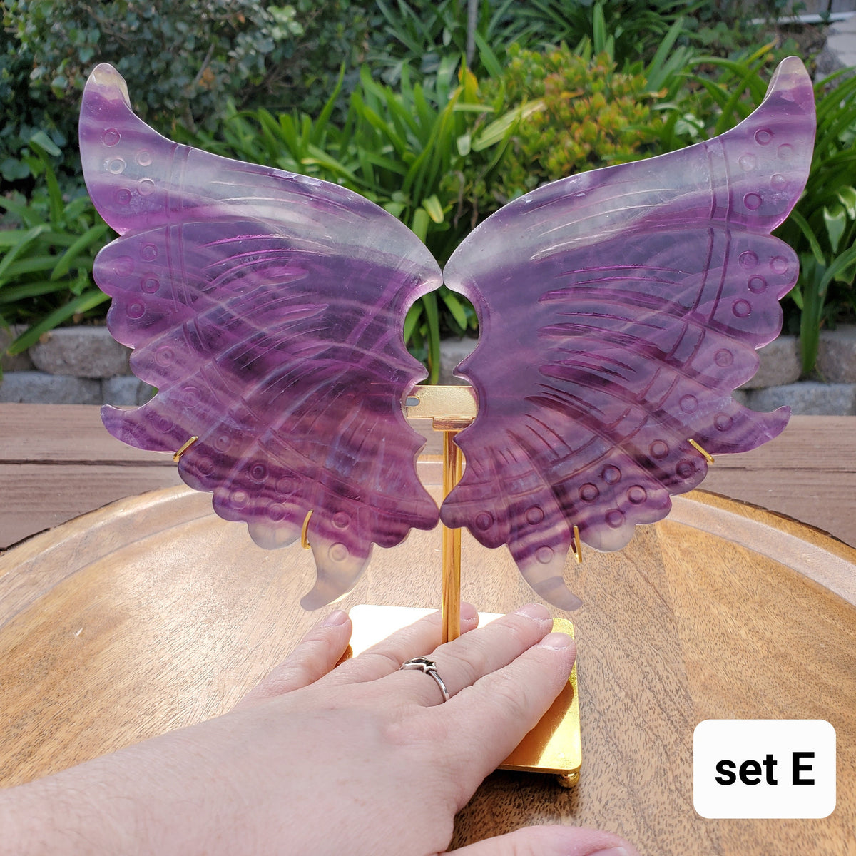 Rainbow Fluorite Butterfly Wings on Stand - Mental Clarity, Stability, Concentration, Energetic Protection - Fluorite Crystal Wings