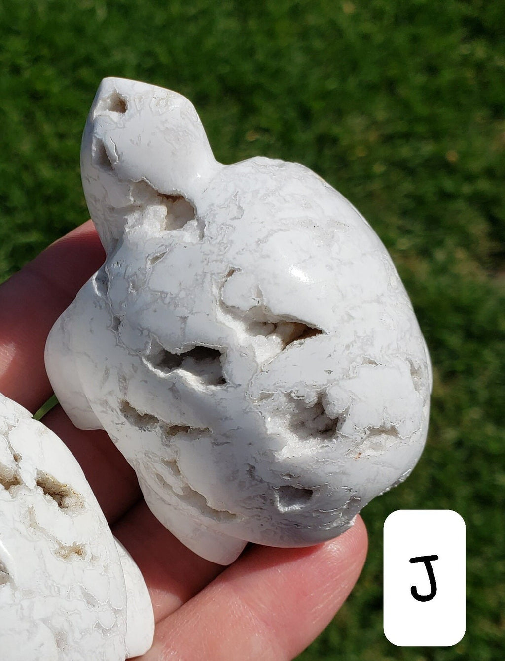 Snow Agate Turtle - Balances Females Ying Yang Energy - White Plume Druzy Turtle Healing Crystals Gemstones