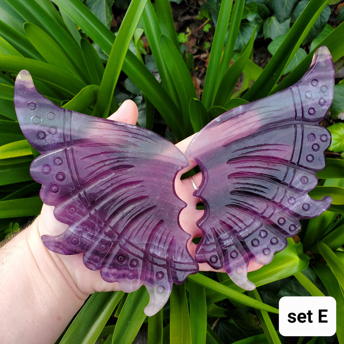 Rainbow Fluorite Butterfly Wings on Stand - Mental Clarity, Stability, Concentration, Energetic Protection - Fluorite Crystal Wings