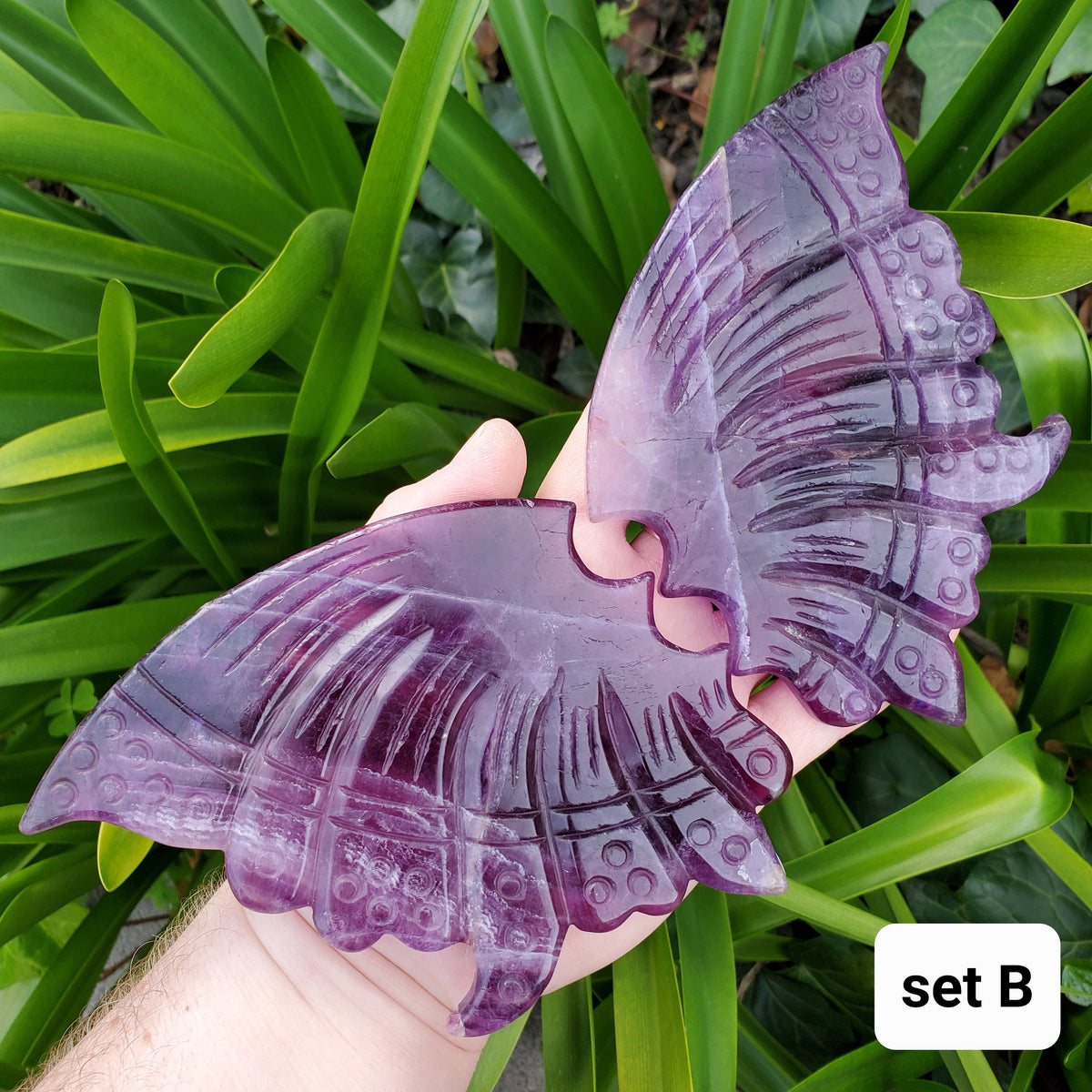 Rainbow Fluorite Butterfly Wings on Stand - Mental Clarity, Stability, Concentration, Energetic Protection - Fluorite Crystal Wings