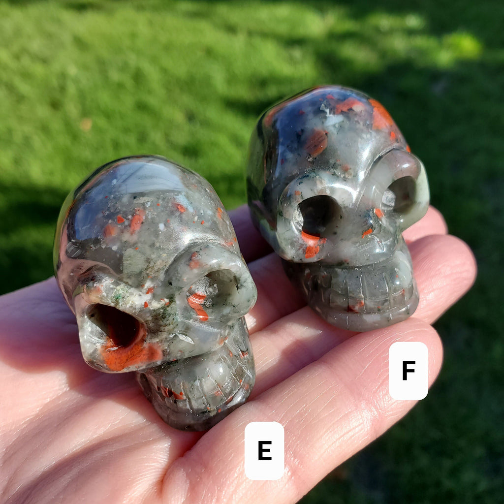African Bloodstone Skull - Calming, Grounding, Persistence, Courage - 2" Black and Red Crystal Skull Carving Healing Gemstone