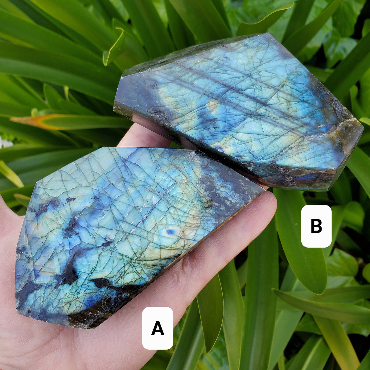 Flashy Labradorite Freeform - Awareness, Connection, Intuition, Psychic Abilities - Crystal Labradorite Free Form Healing Crystal Gemstone