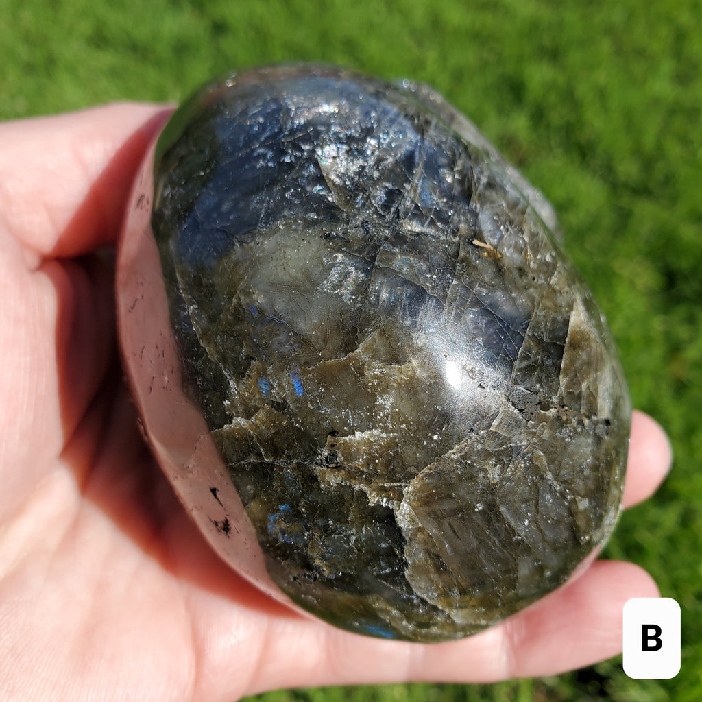 Flashy Labradorite Skull - Awareness, Connection, Intuition, Wisdom - 3.5" Labradorite Healing Crystal Lab Skull Carving