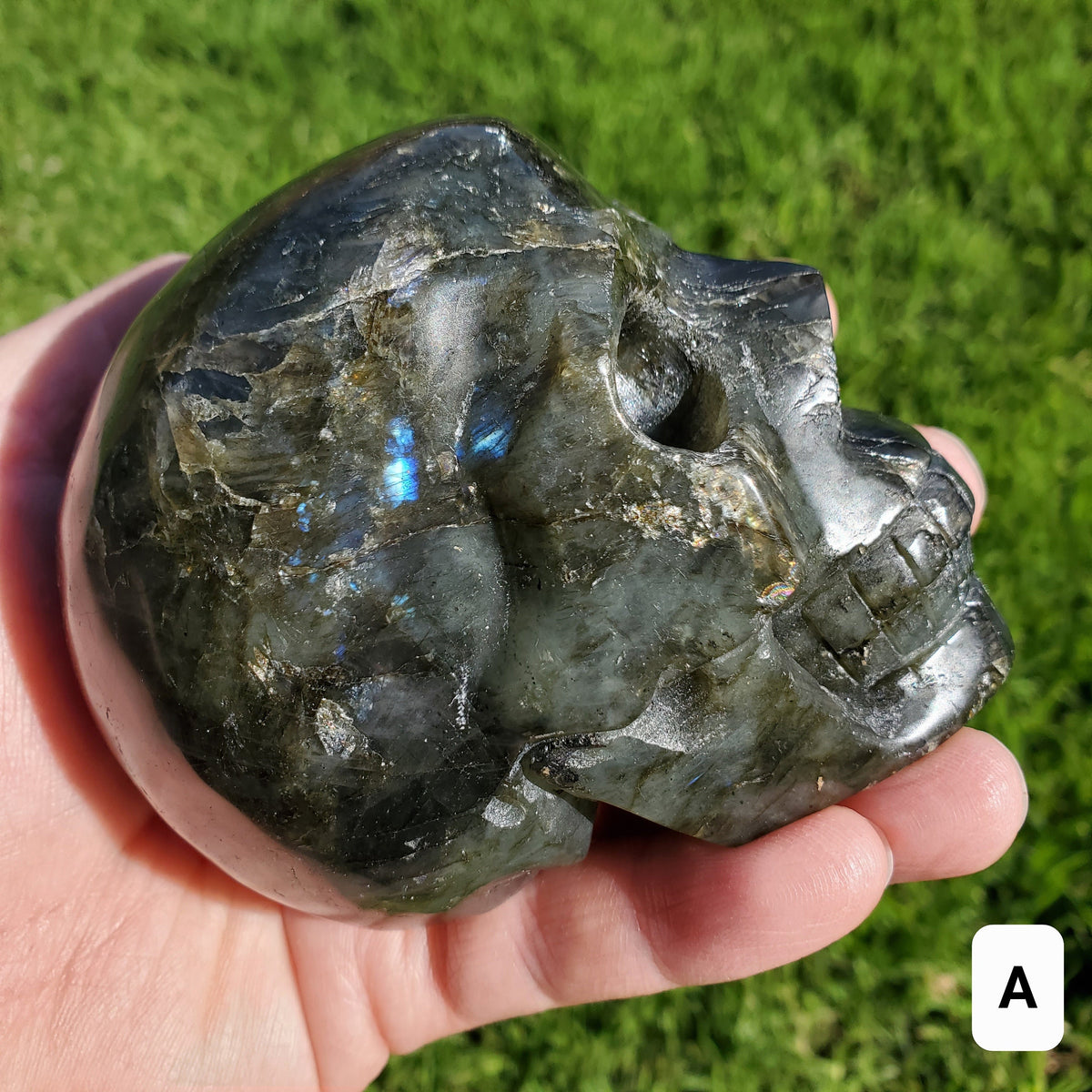 Flashy Labradorite Skull - Awareness, Connection, Intuition, Wisdom - 3.5" Labradorite Healing Crystal Lab Skull Carving