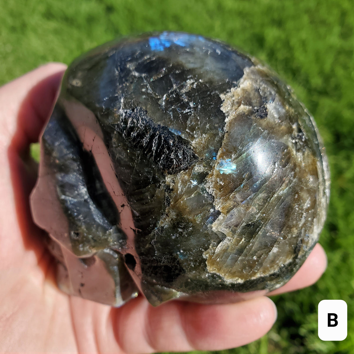 Flashy Labradorite Skull - Awareness, Connection, Intuition, Wisdom - 3.5" Labradorite Healing Crystal Lab Skull Carving