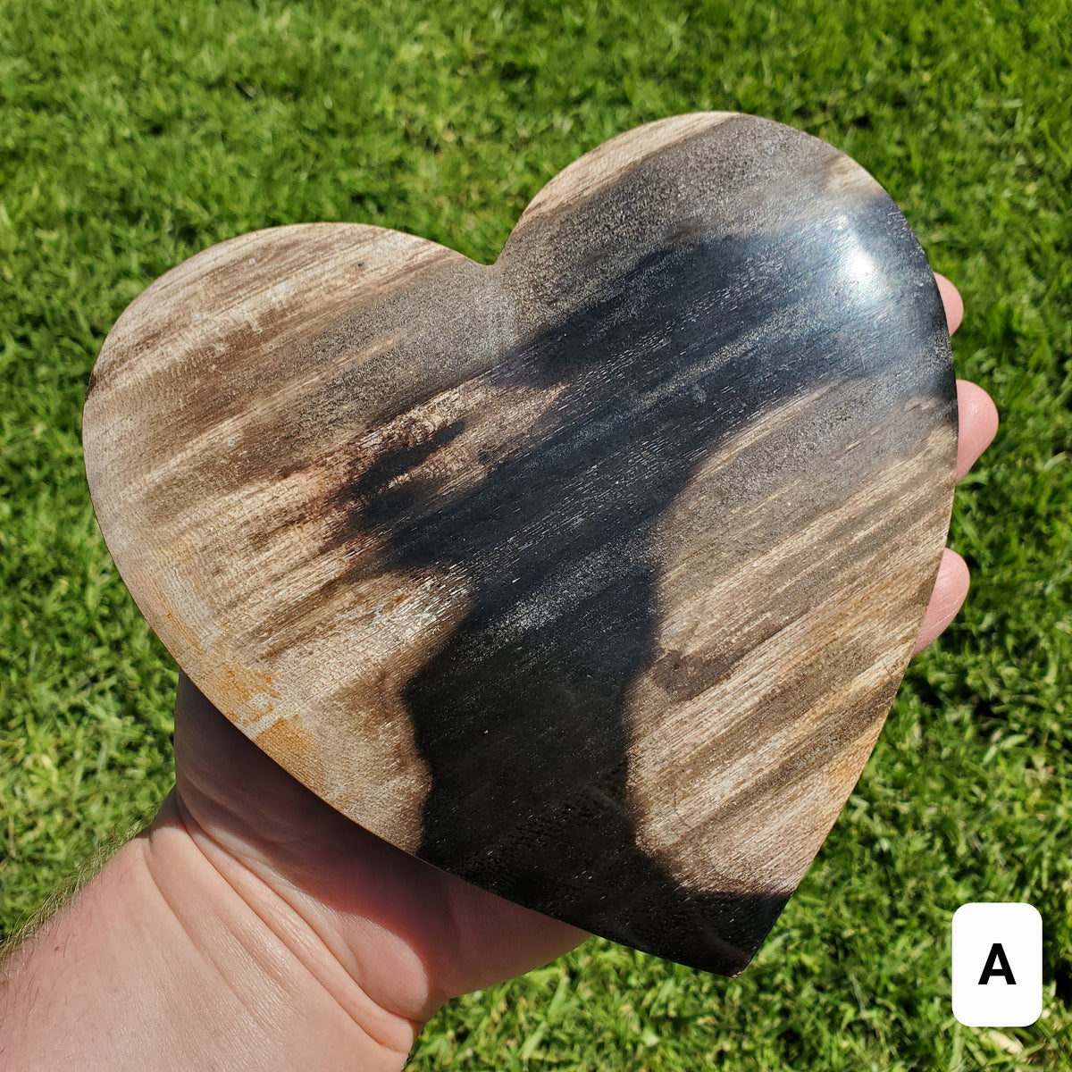 Big Petrified Palm Root Fossil Heart on Stand - Calming, Cleansing, Positive Energy, Wisdom - Crystal Heart Wooden Stone Healing Gemstone