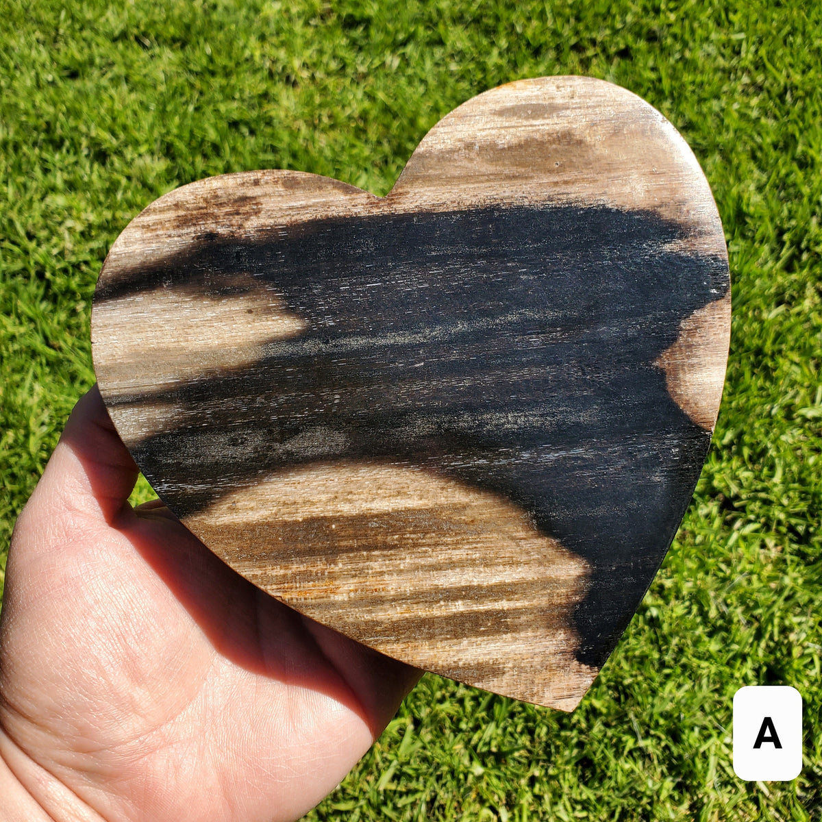 Big Petrified Palm Root Fossil Heart on Stand - Calming, Cleansing, Positive Energy, Wisdom - Crystal Heart Wooden Stone Healing Gemstone