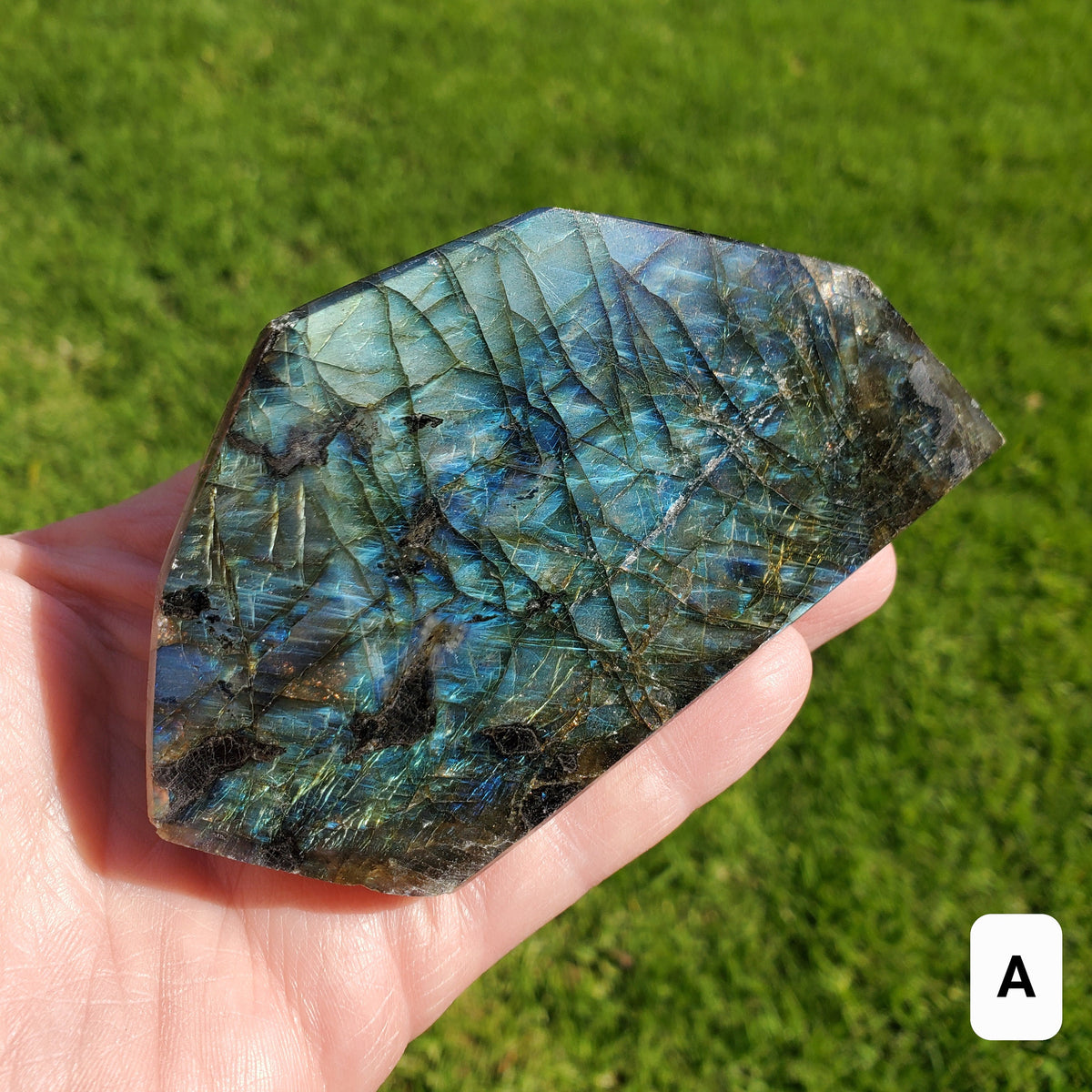 Flashy Labradorite Freeform - Awareness, Connection, Intuition, Psychic Abilities - Crystal Labradorite Free Form Healing Crystal Gemstone