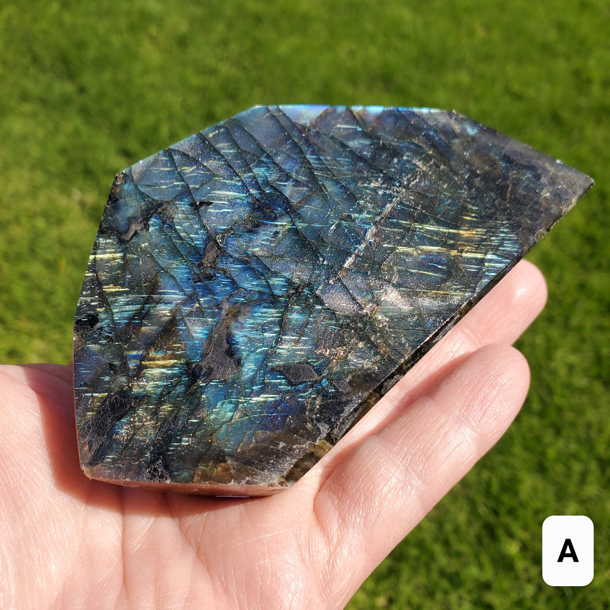 Flashy Labradorite Freeform - Awareness, Connection, Intuition, Psychic Abilities - Crystal Labradorite Free Form Healing Crystal Gemstone