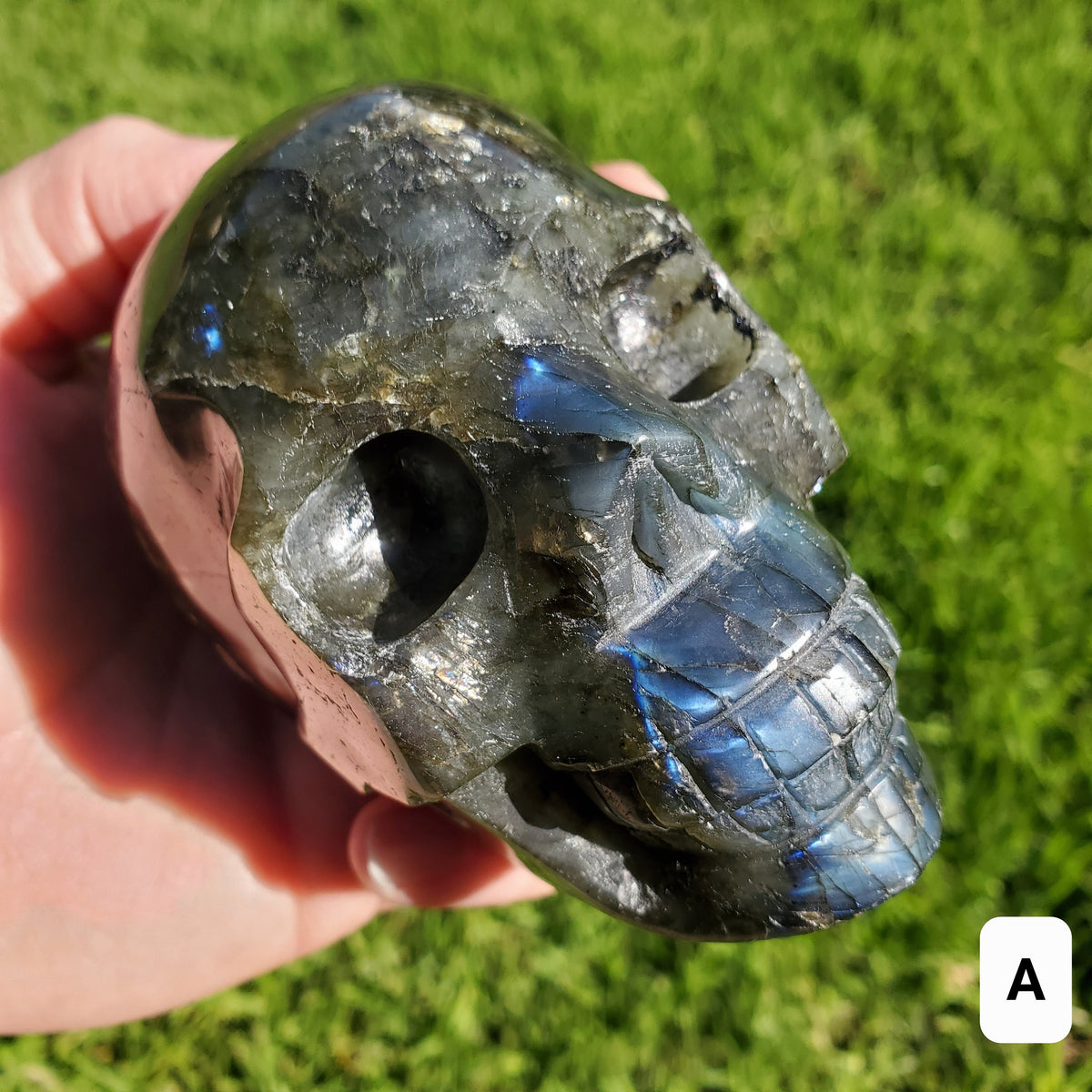 Flashy Labradorite Skull - Awareness, Connection, Intuition, Wisdom - 3.5" Labradorite Healing Crystal Lab Skull Carving