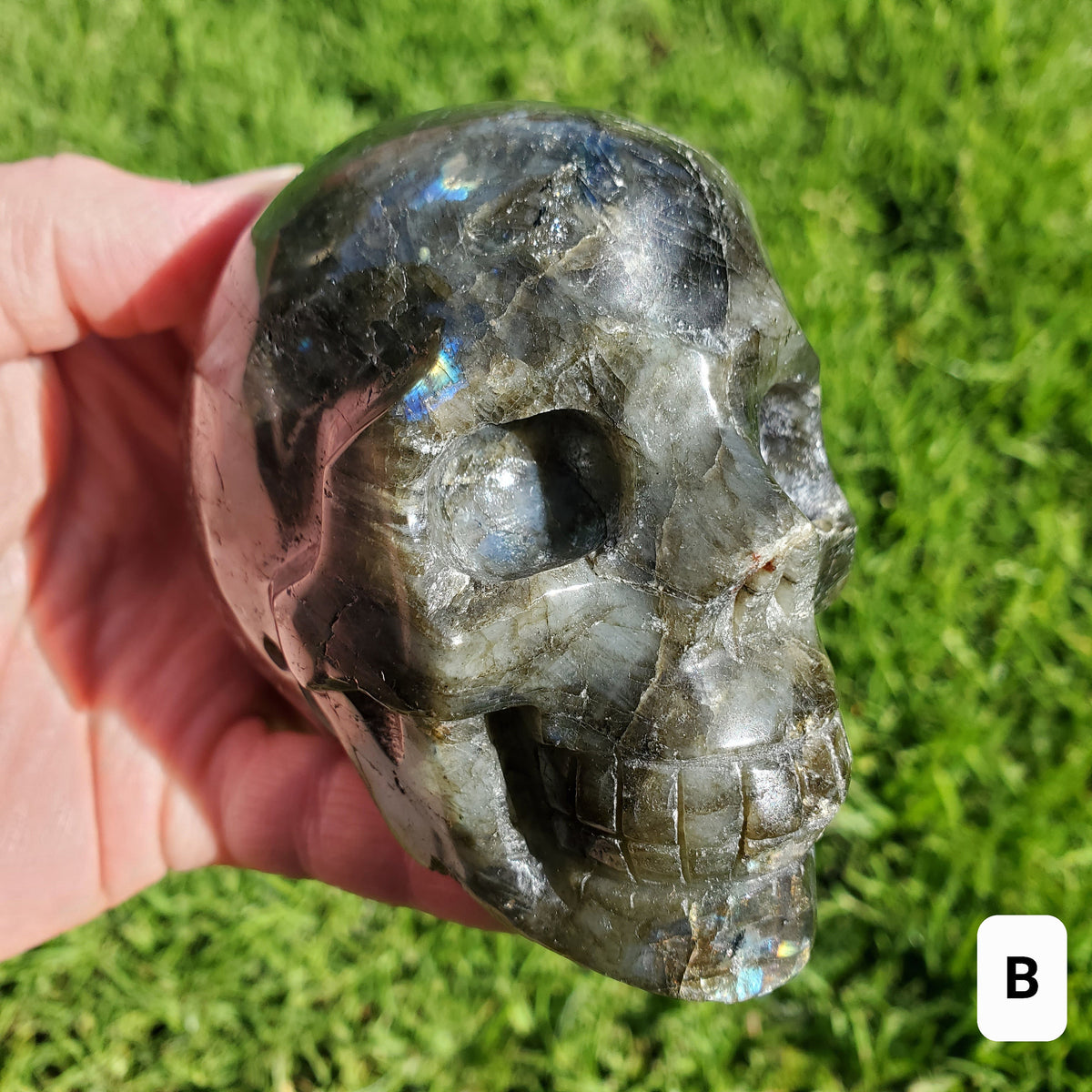 Flashy Labradorite Skull - Awareness, Connection, Intuition, Wisdom - 3.5" Labradorite Healing Crystal Lab Skull Carving