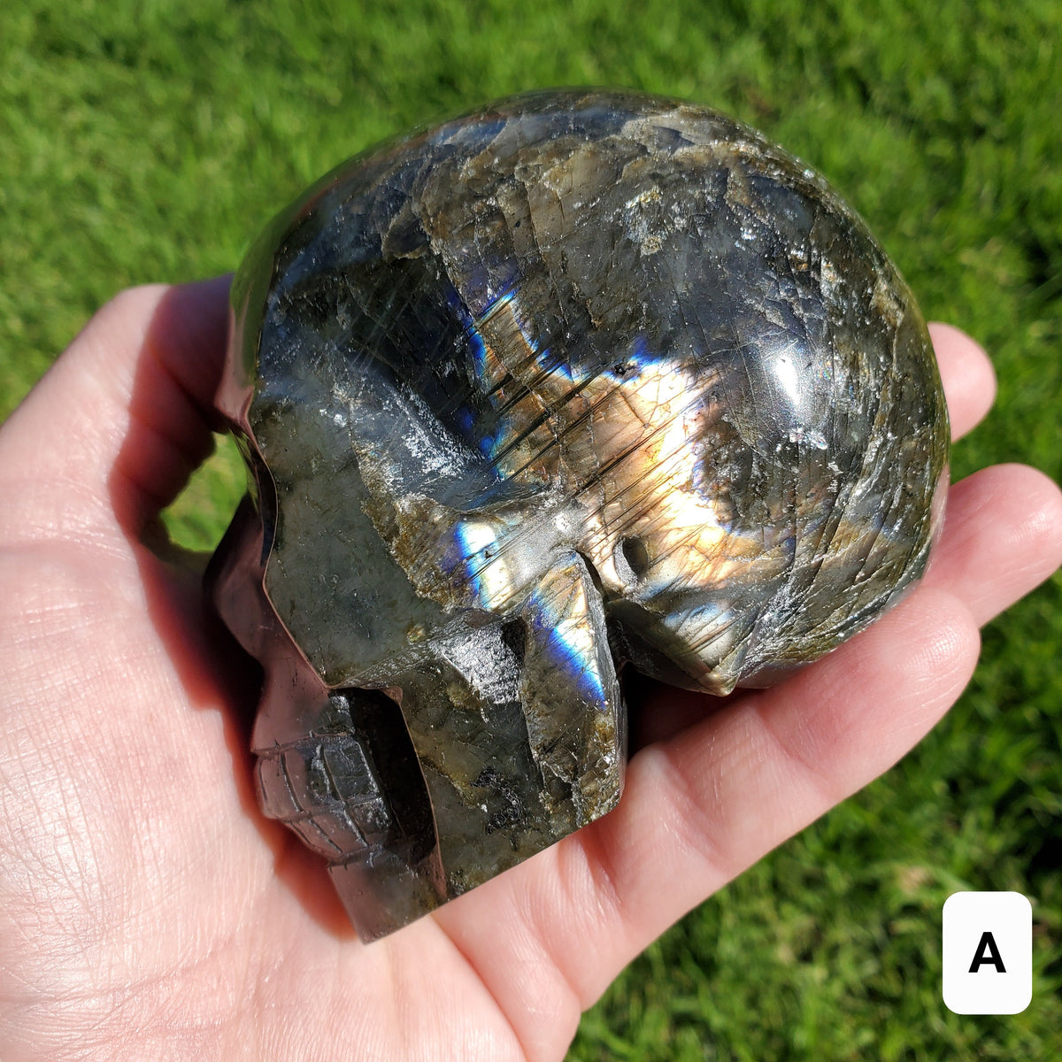 Flashy Labradorite Skull - Awareness, Connection, Intuition, Wisdom - 3.5" Labradorite Healing Crystal Lab Skull Carving