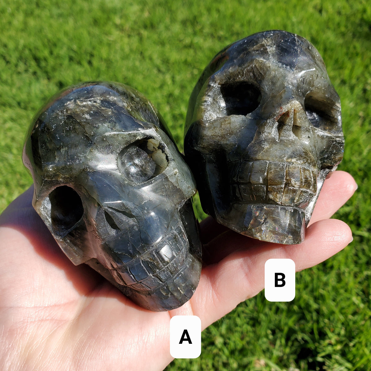 Flashy Labradorite Skull - Awareness, Connection, Intuition, Wisdom - 3.5" Labradorite Healing Crystal Lab Skull Carving