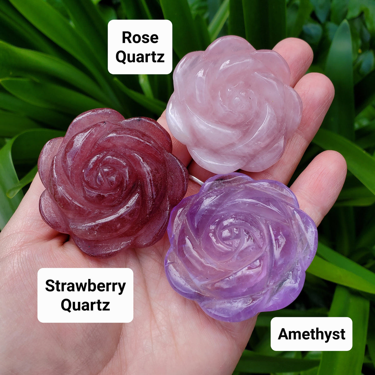 Crystal Rose Trio with Gift Box - Amethyst, Rose Quartz & Strawberry Quartz - Unconditional Love, Gratitude, Stress Relief - Flower Set