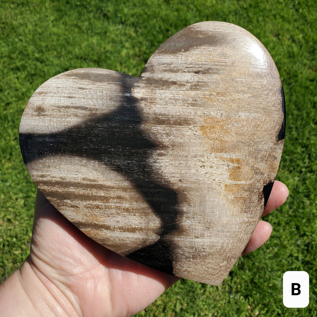 Big Petrified Palm Root Fossil Heart on Stand - Calming, Cleansing, Positive Energy, Wisdom - Crystal Heart Wooden Stone Healing Gemstone