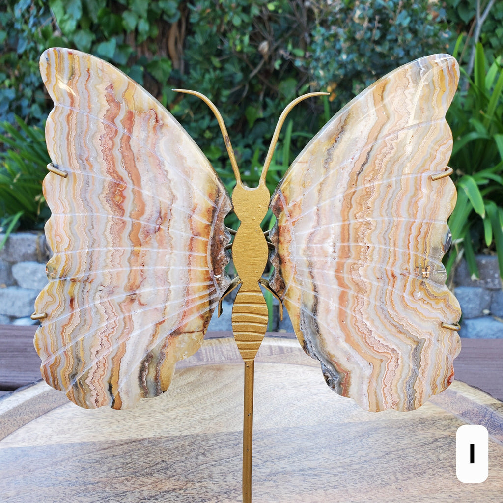 Pink Lace Agate Butterfly Wings on Stand - Balance of the Physical, Mental & Emotional - Pink Agate Crystal Butterfly Healing Gemstone