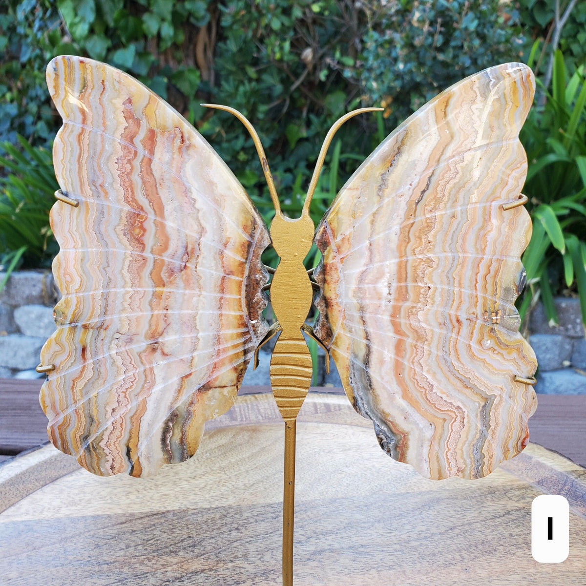 Pink Lace Agate Butterfly Wings on Stand - Balance of the Physical, Mental & Emotional - Pink Agate Crystal Butterfly Healing Gemstone