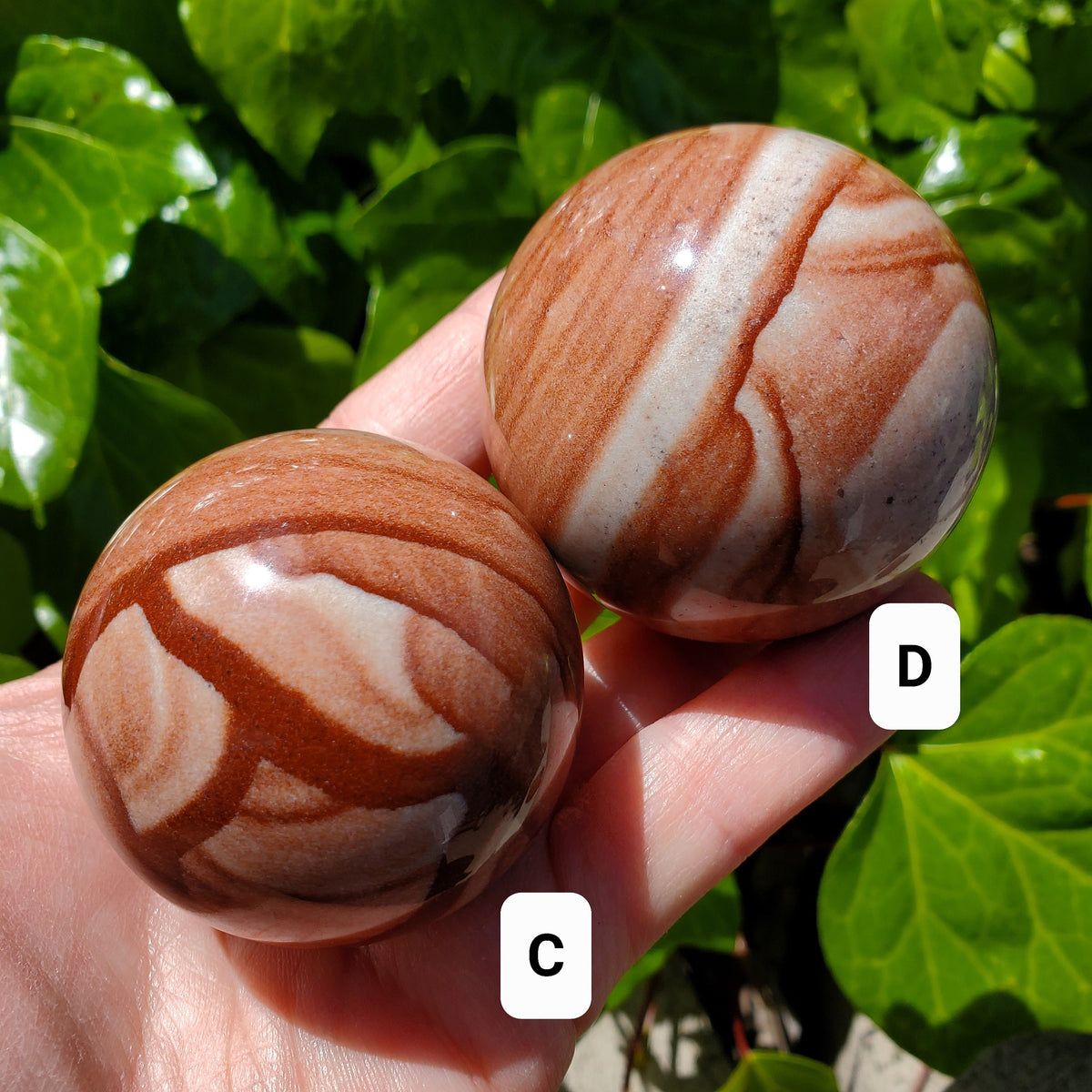 Picture Stone Jasper Sphere on Wooden Stand - Grounding, Harmonizing, Soothing, Creativity - Crystal Ball Healing Gemstone Statement
