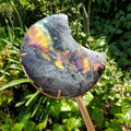 Flashy Labradorite Moon on Stand - Awareness, Connection, Intuition - Rainbow Flash Lab Stone Healing Statement Crystal Display