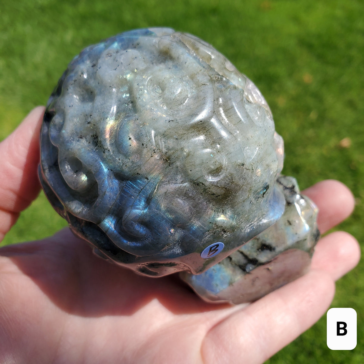 Labradorite Sugar Skull - Dreams, Awareness, Connection, Intuition, Wisdom - 3.90" Labradorite Healing Crystal Lab Skull Carving