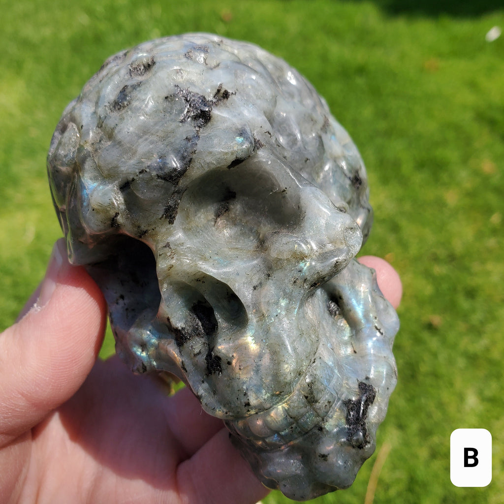 Labradorite Sugar Skull - Dreams, Awareness, Connection, Intuition, Wisdom - 3.90" Labradorite Healing Crystal Lab Skull Carving