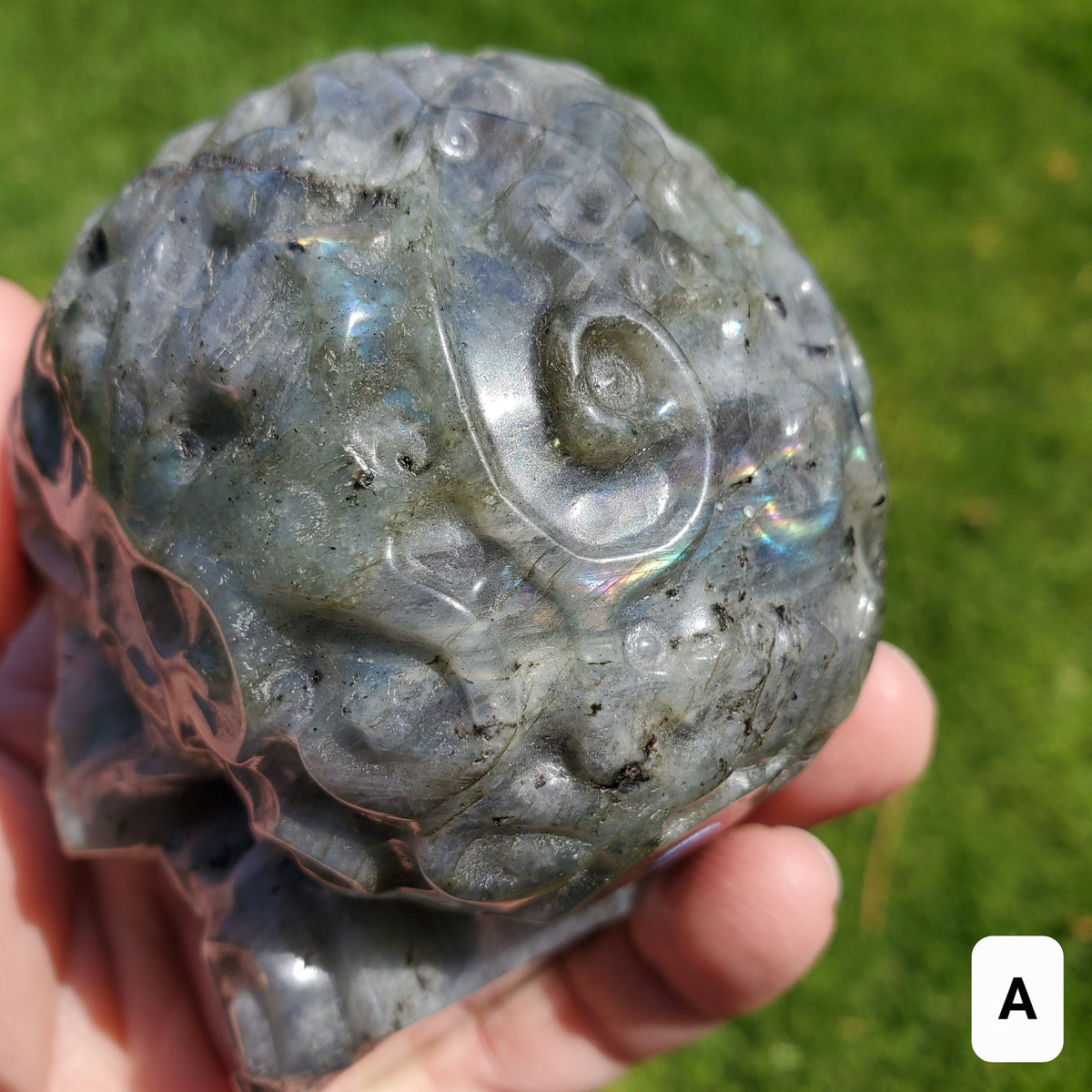 Labradorite Sugar Skull - Dreams, Awareness, Connection, Intuition, Wisdom - 3.90" Labradorite Healing Crystal Lab Skull Carving