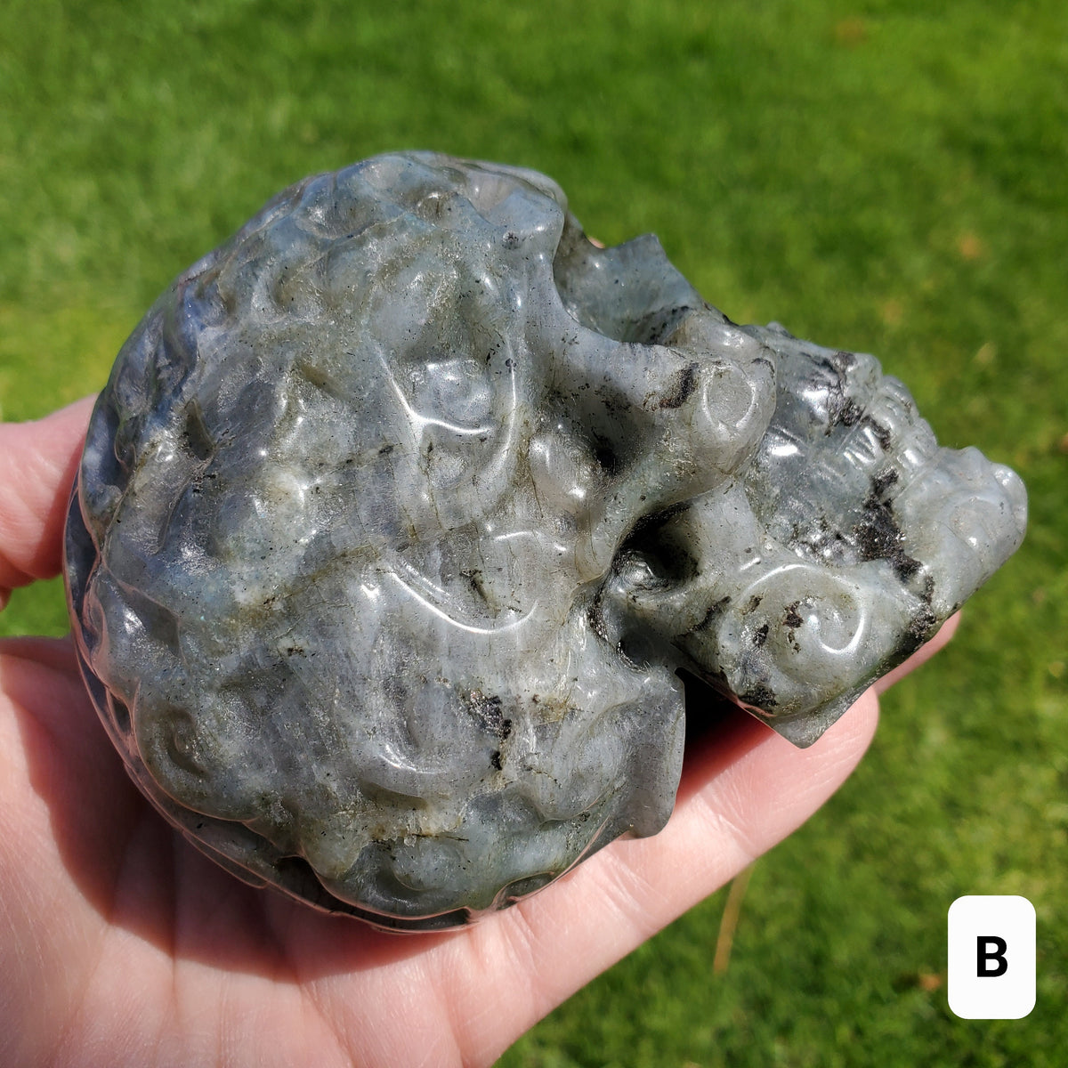 Labradorite Sugar Skull - Dreams, Awareness, Connection, Intuition, Wisdom - 3.90" Labradorite Healing Crystal Lab Skull Carving