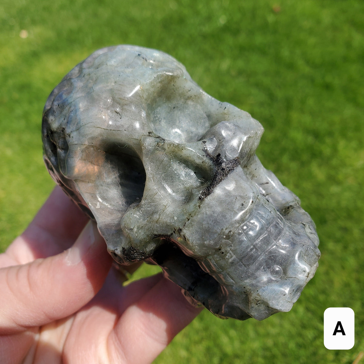 Labradorite Sugar Skull - Dreams, Awareness, Connection, Intuition, Wisdom - 3.90" Labradorite Healing Crystal Lab Skull Carving