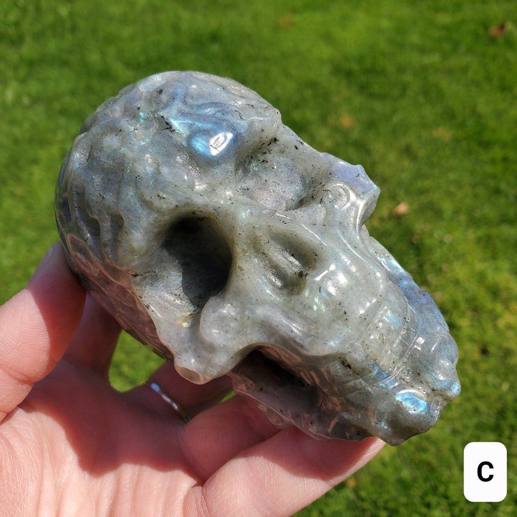 Labradorite Sugar Skull - Dreams, Awareness, Connection, Intuition, Wisdom - 3.90" Labradorite Healing Crystal Lab Skull Carving