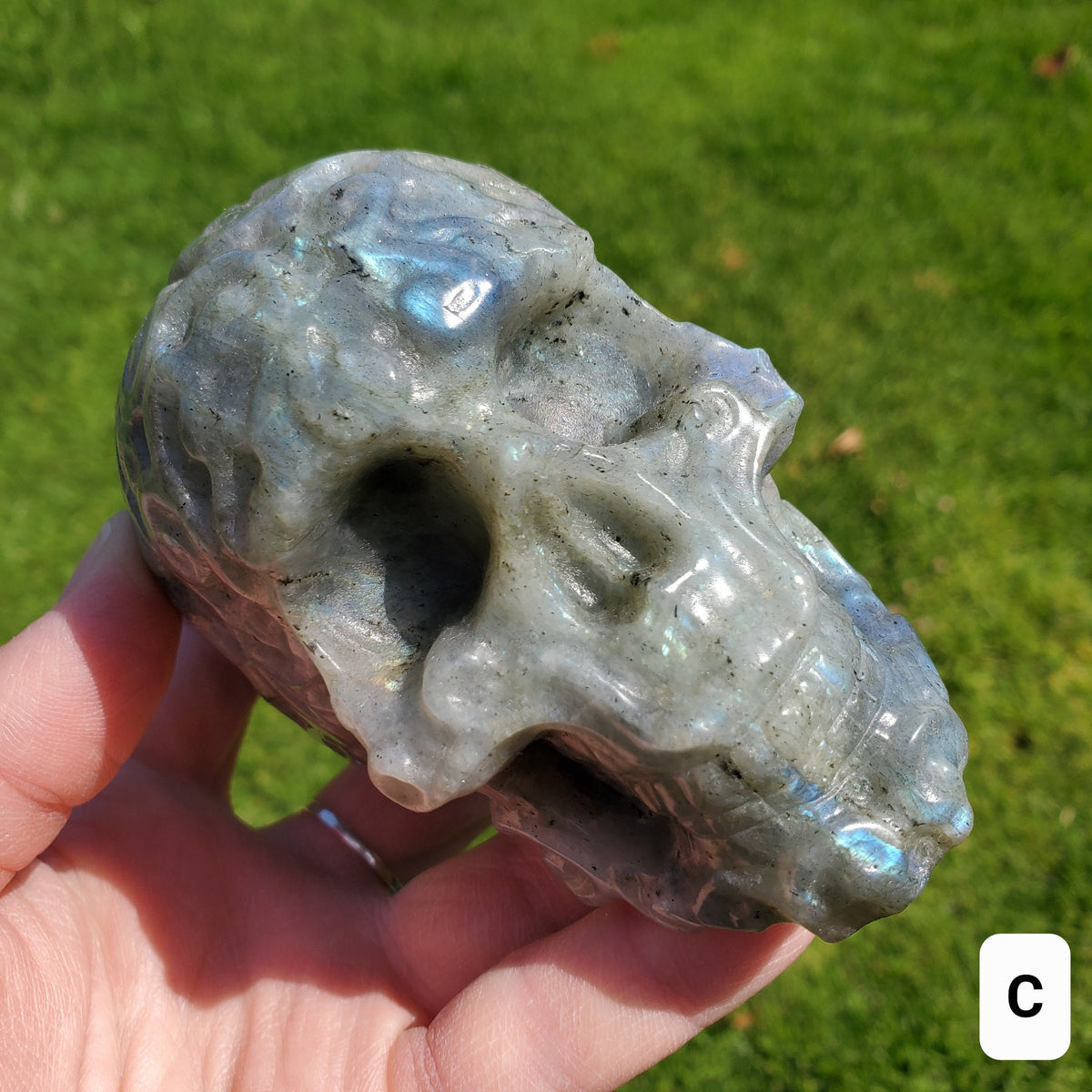 Labradorite Sugar Skull - Dreams, Awareness, Connection, Intuition, Wisdom - 3.90" Labradorite Healing Crystal Lab Skull Carving