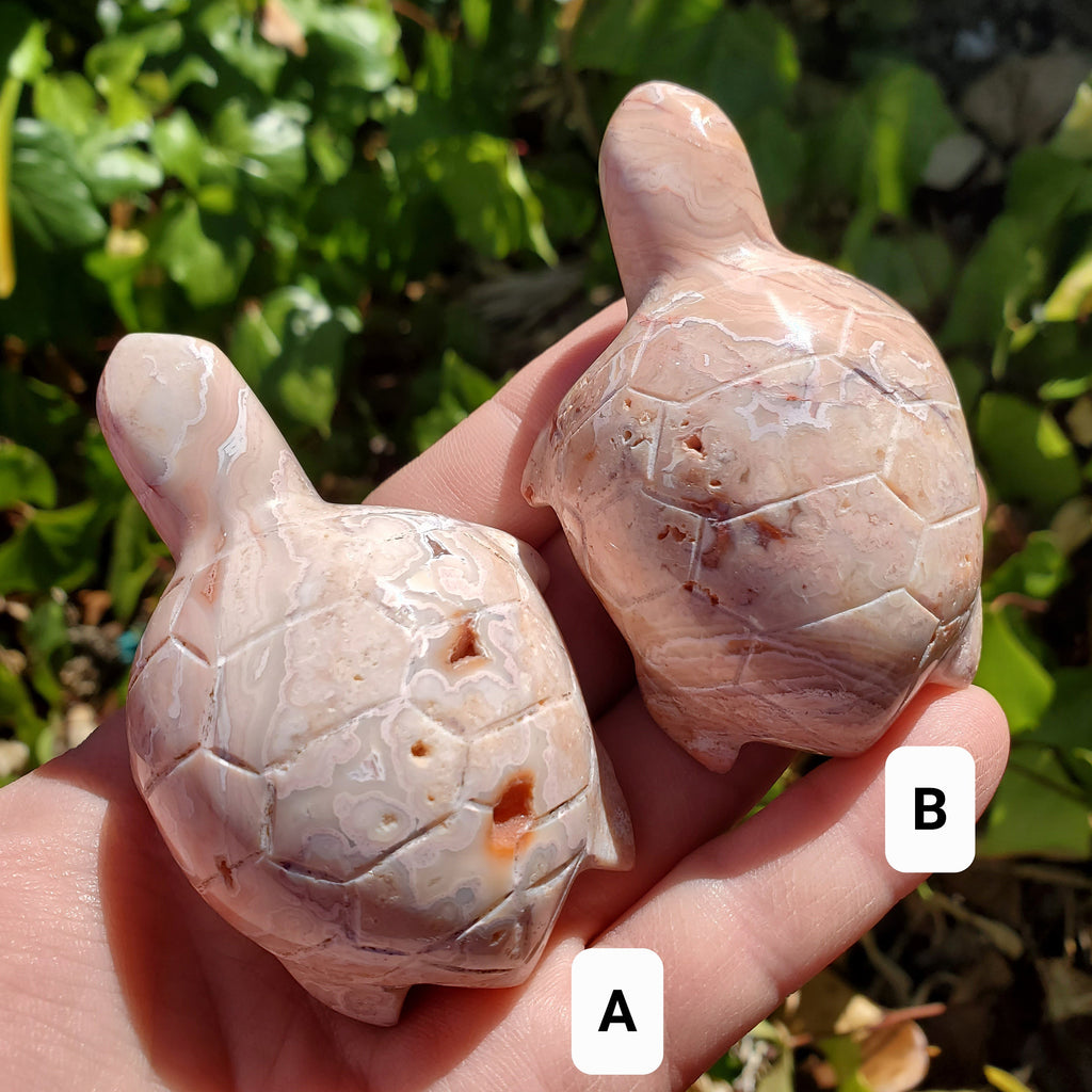 Druzy Pink Lace Agate Turtle - Balance Physical, Mental, Emotional - Pink Agate Crystal Turtle Carving Healing Gemstone