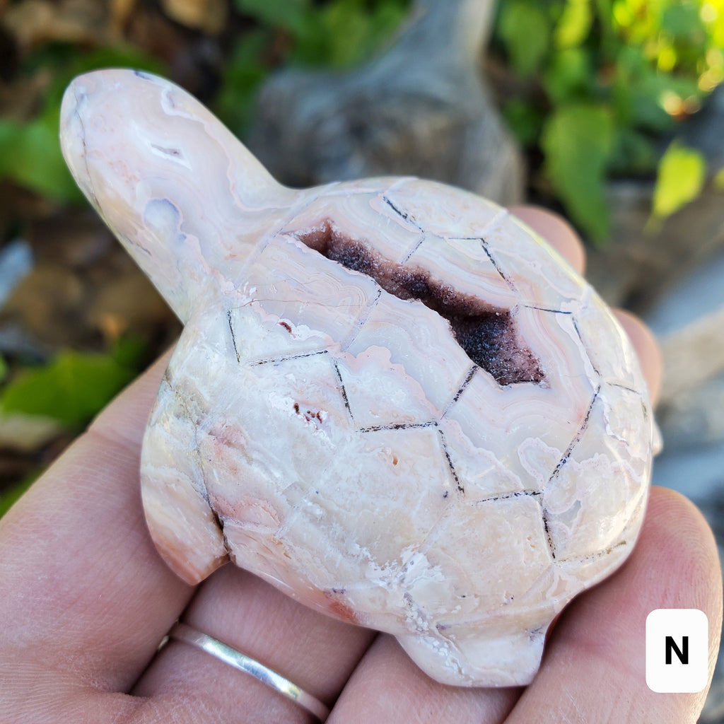 Druzy Pink Lace Agate Turtle - Balance Physical, Mental, Emotional - Pink Agate Crystal Turtle Carving Healing Gemstone