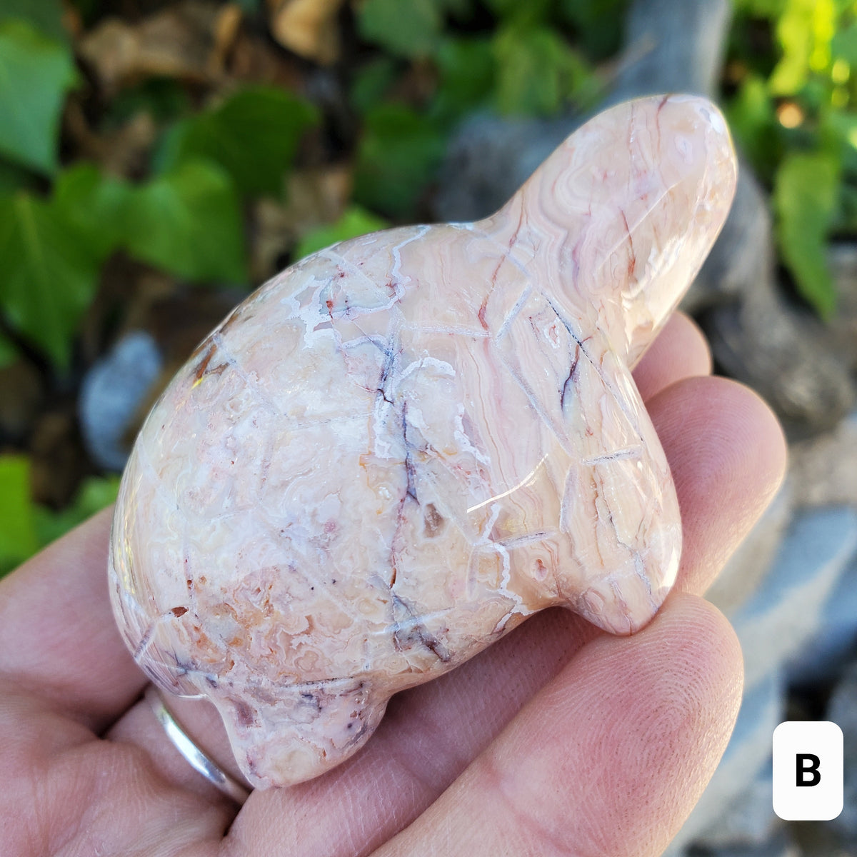 Druzy Pink Lace Agate Turtle - Balance Physical, Mental, Emotional - Pink Agate Crystal Turtle Carving Healing Gemstone